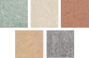 ������������ ������ ������. ��������� Premier.