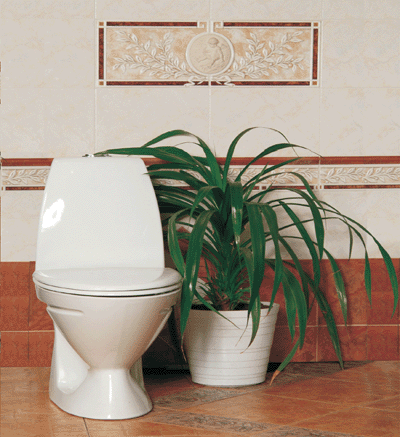 ������� IRIS ��������� Rinnova